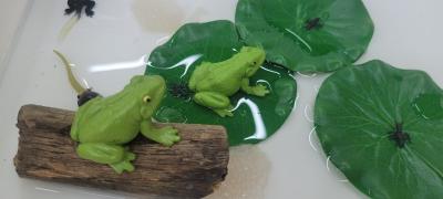 zdjęcie główne.jpg